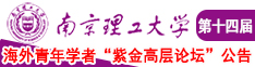 烧逼被插出水的视频南京理工大学第十四届海外青年学者紫金论坛诚邀海内外英才！